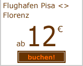 flughafen pisa-florenz ab 12 euro